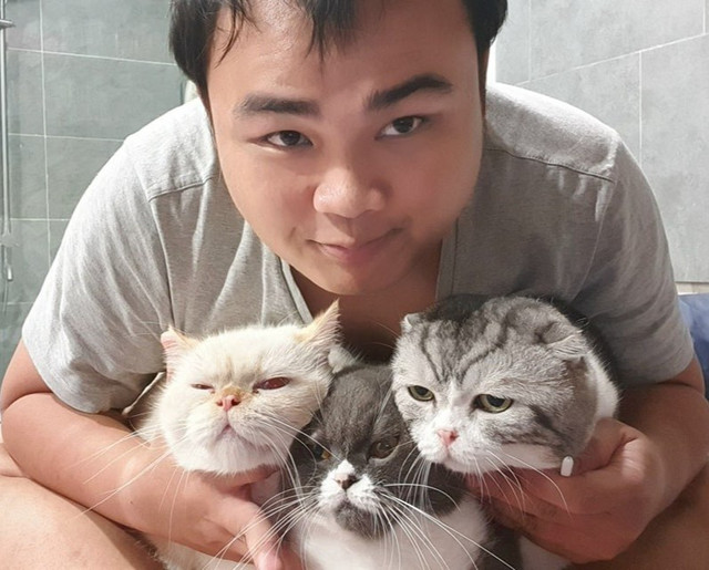 Chú mèo nổi tiếng mạng xã hội Việt Nam giờ ra sao - Hình 3 Chu meo noi tieng mang xa hoi Viet Nam gio ra sao-Hinh-3
