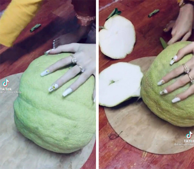 Mang bưởi, dưa hấu Tài - Lộc trưng Tết ra bổ thử và cái kết Mang buoi, dua hau Tai - Loc trung Tet ra bo thu va cai ket