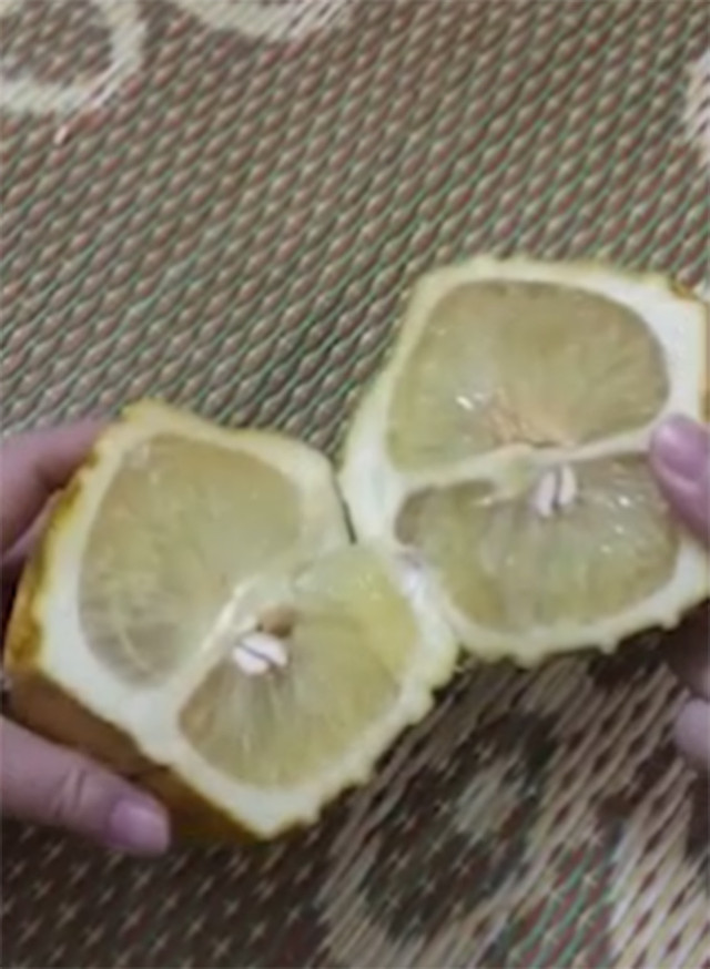 Mang bưởi, dưa hấu Tài - Lộc trưng Tết ra bổ thử và cái kết - Hình 4 Mang buoi, dua hau Tai - Loc trung Tet ra bo thu va cai ket-Hinh-4