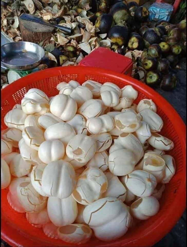 Mốt nấu chè giải nhiệt, chị em chung mua cả tạ thốt nốt Miền Tây - Hình 3 Mot nau che giai nhiet, chi em chung mua ca ta thot not Mien Tay-Hinh-3
