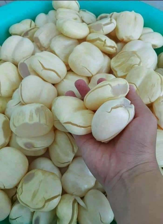 Mốt nấu chè giải nhiệt, chị em chung mua cả tạ thốt nốt Miền Tây - Hình 4 Mot nau che giai nhiet, chi em chung mua ca ta thot not Mien Tay-Hinh-4