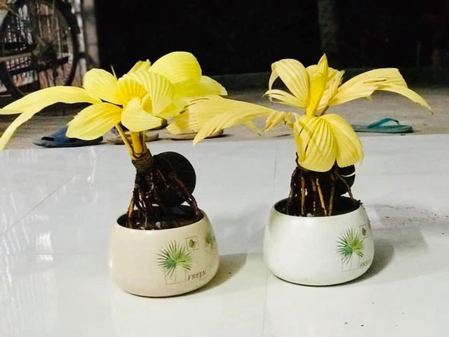 Cá hồi Sa Pa giảm xuyên đáy, tôm hùm tăng giá gấp ba - Hình 4 Ca hoi Sa Pa giam xuyen day, tom hum tang gia gap ba-Hinh-4