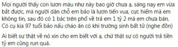 Sự thật về con lươn màu vàng được ví như sâm động vật dưới nước - Hình 2 Su that ve con luon mau vang duoc vi nhu sam dong vat duoi nuoc-Hinh-2