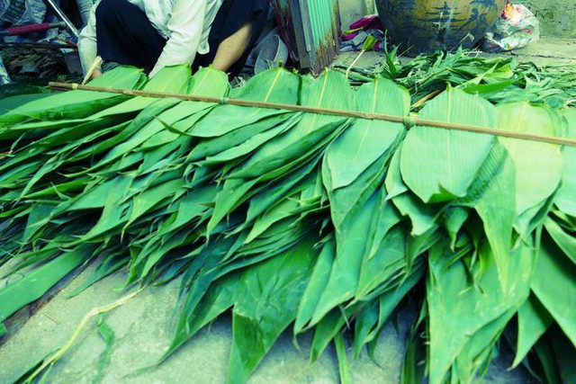 Lá tre bỏ đi giờ xuất bán nước ngoài thu bộn tiền La tre bo di gio xuat ban nuoc ngoai thu bon tien
