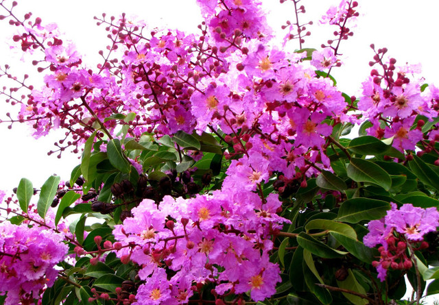 An ủi người trong mộng một thời, tôi đã "cắm sừng" vợ ảnh 1 An ủi người trong mộng một thời, tôi đã "cắm sừng" vợ ảnh 1