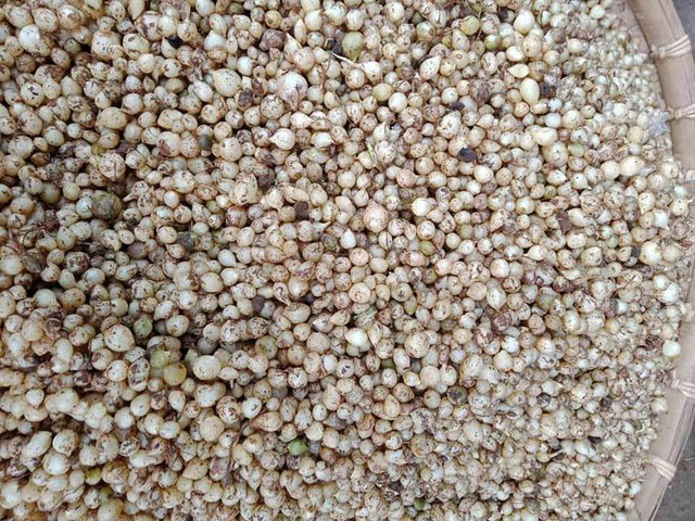 Đặc sản xứ Nghệ rẻ chưa từng có, đổ bộ về Hà Nội Dac san xu Nghe re chua tung co, do bo ve Ha Noi