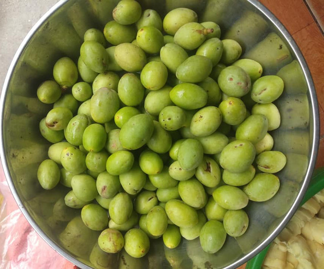 Trám non đầu mùa 50 nghìn/kg, mua về muối ăn dè mùa dịch - Hình 3 Tram non dau mua 50 nghin/kg, mua ve muoi an de mua dich-Hinh-3