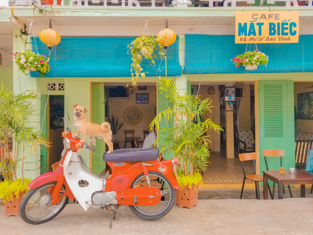 Chủ đưa chó cưng đi phượt xuyên Việt bằng xe máy - Hình 5 Chu dua cho cung di phuot xuyen Viet bang xe may-Hinh-5