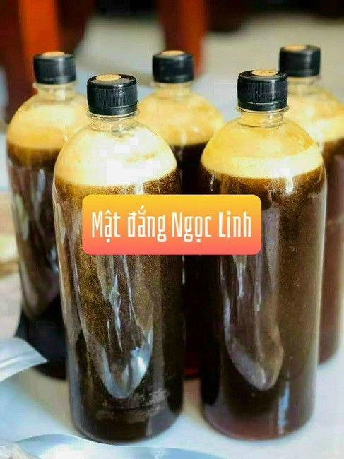 Mật ong hoa sâm giá tiền triệu, thợ săn ong rừng tiết lộ sự thật - Hình 2 Mat ong hoa sam gia tien trieu, tho san ong rung tiet lo su that-Hinh-2