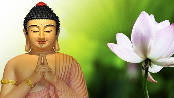 20 lời Phật dạy về việc ăn nói, nhiều người không biết dễ phạm lỗi 20 loi Phat day ve viec an noi, nhieu nguoi khong biet de pham loi