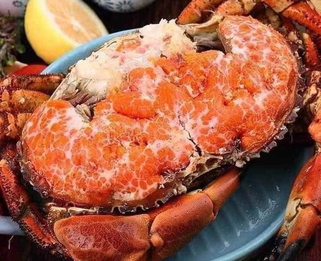 Ăn cua gạch Na Uy, ngắm cành đông đào Trung Quốc - Hình 2 An cua gach Na Uy, ngam canh dong dao Trung Quoc-Hinh-2