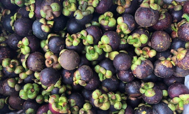 Măng cụt ngập chợ, cách chọn để 10 quả ngon ngọt cả 10 ảnh 1 Măng cụt ngập chợ, cách chọn để 10 quả ngon ngọt cả 10 ảnh 1