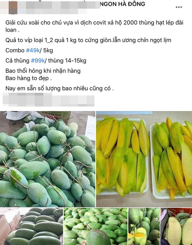 Xoài Việt dội chợ, giá rẻ hơn rau Xoai Viet doi cho, gia re hon rau