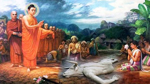 Phật dạy phải tránh xa 3 nghiệp báo khiến hôn nhân tan vỡ Phat day phai tranh xa 3 nghiep bao khien hon nhan tan vo
