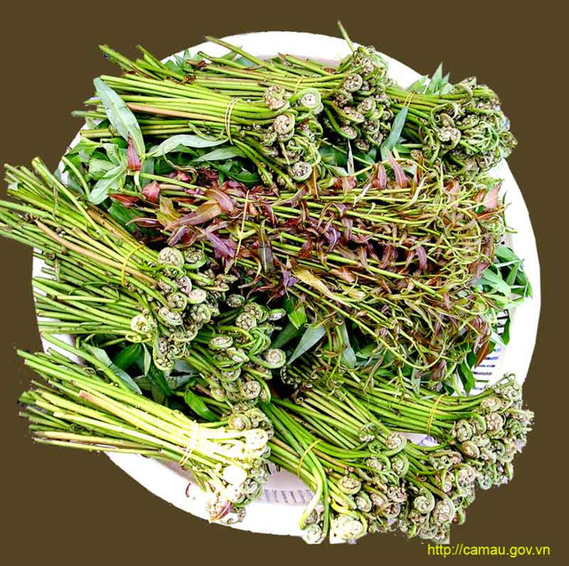 Rau rừng một thời cứu đói nay thành đặc sản - Hình 3 Rau rung mot thoi cuu doi nay thanh dac san-Hinh-3