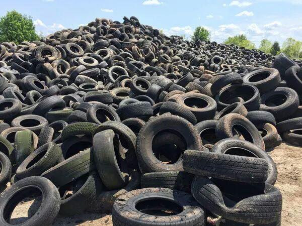 Tưởng là rác lại hóa mỏ vàng, 8x thu về hàng chục triệu/tháng Tuong la rac lai hoa mo vang, 8x thu ve hang chuc trieu/thang