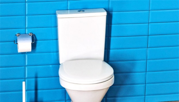 Tại sao toilet thường có màu trắng? - Hình 4 Tai sao toilet thuong co mau trang?-Hinh-4