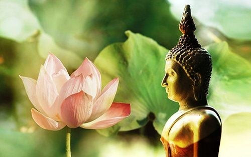 Đời người ai cũng có 4 nỗi sợ lớn nhất Doi nguoi ai cung co 4 noi so lon nhat