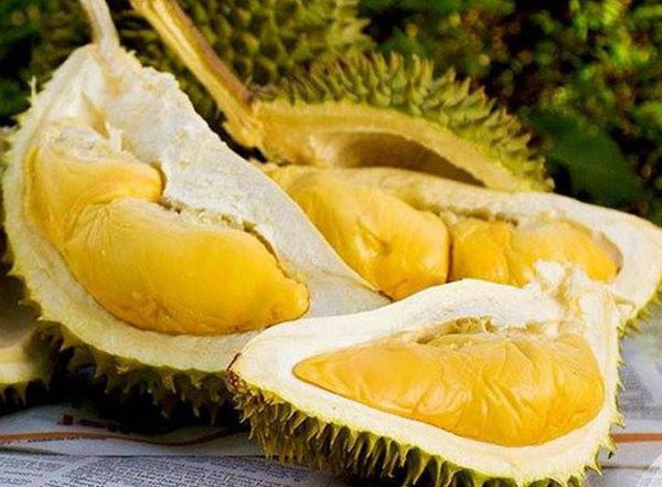 6 loại quả ăn buổi sáng là “thuốc bổ”, ăn buổi tối là “độc dược” 6 loai qua an buoi sang la “thuoc bo”, an buoi toi la “doc duoc”