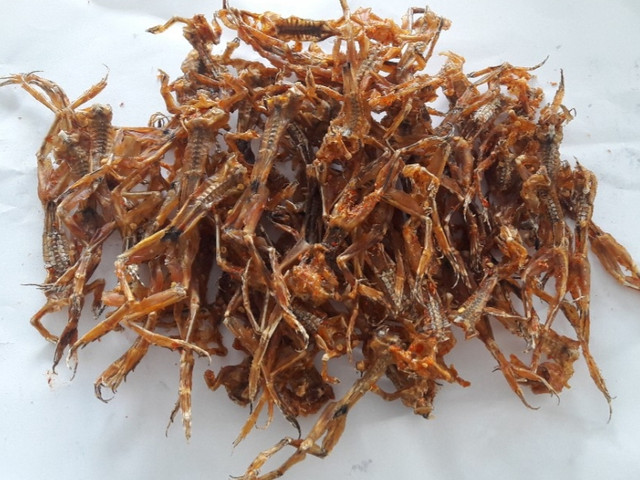 Những đặc sản đồ khô nổi tiếng miền Tây ngon khó cưỡng - Hình 7 Nhung dac san do kho noi tieng mien Tay ngon kho cuong-Hinh-7