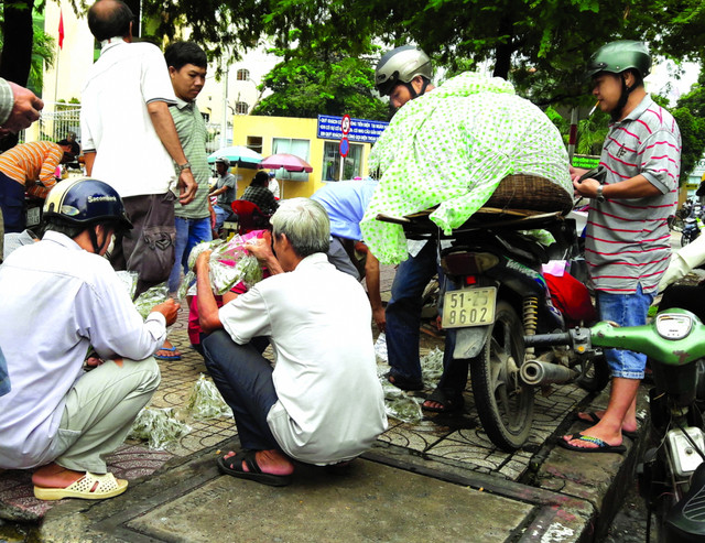 Chợ sâu bọ độc lạ giữa Sài Gòn Cho sau bo doc la giua Sai Gon