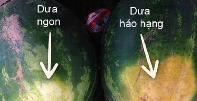 Thấy dưa hấu có đặc điểm này thì xuống tiền mua ngay đảm bảo ngon - Hình 3 Thay dua hau co dac diem nay thi xuong tien mua ngay dam bao ngon-Hinh-3
