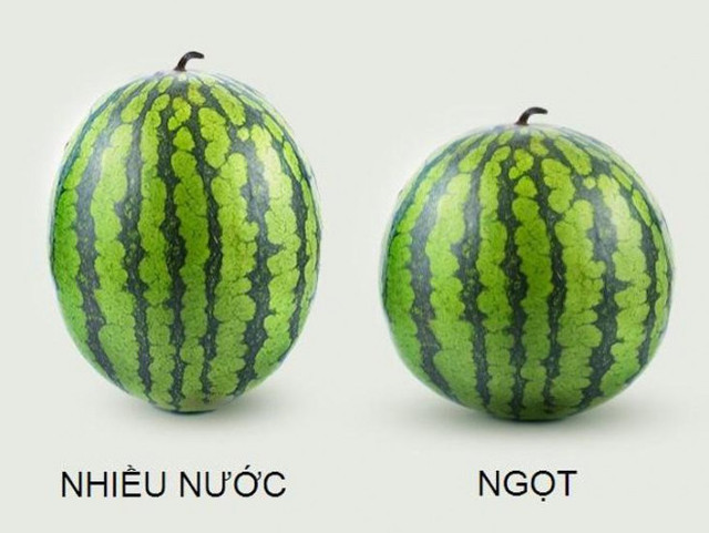 Thấy dưa hấu có đặc điểm này thì xuống tiền mua ngay đảm bảo ngon - Hình 2 Thay dua hau co dac diem nay thi xuong tien mua ngay dam bao ngon-Hinh-2