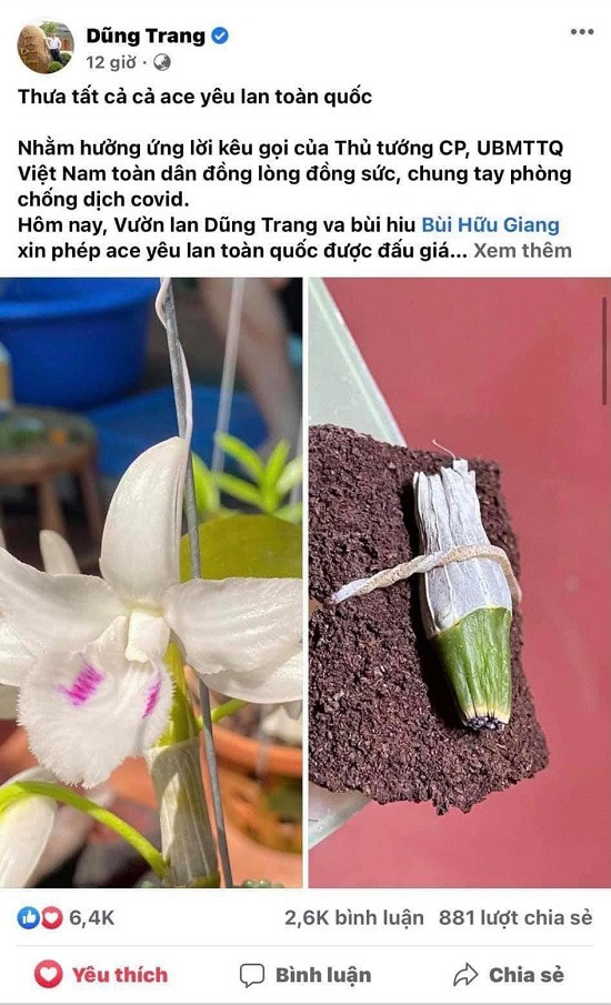 Một mầm lan vừa được bán với giá 18 tỷ đồng và mục đích phía sau Mot mam lan vua duoc ban voi gia 18 ty dong va muc dich phia sau