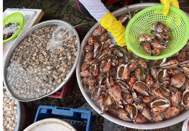 Hải sản giảm giá một nửa, thịt gà 6.000 đồng/kg vẫn ế ẩm Hai san giam gia mot nua, thit ga 6.000 dong/kg van e am
