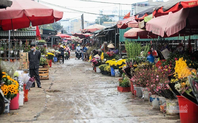 Làng hoa Hà Nội đang ngồi trên đống lửa vì dịch COVID-19 - Hình 16 Lang hoa Ha Noi dang ngoi tren dong lua vi dich COVID-19-Hinh-16
