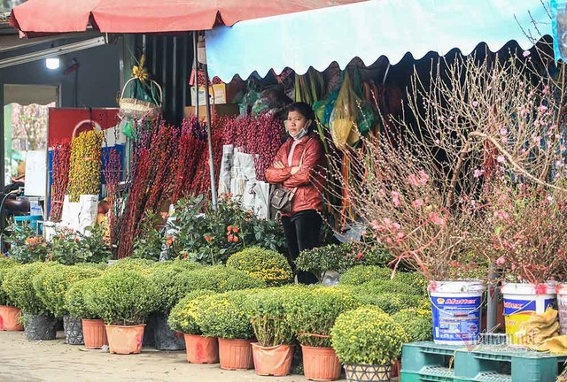 Làng hoa Hà Nội đang ngồi trên đống lửa vì dịch COVID-19 - Hình 13 Lang hoa Ha Noi dang ngoi tren dong lua vi dich COVID-19-Hinh-13