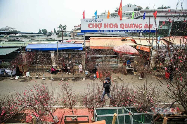 Làng hoa Hà Nội đang ngồi trên đống lửa vì dịch COVID-19 - Hình 11 Lang hoa Ha Noi dang ngoi tren dong lua vi dich COVID-19-Hinh-11