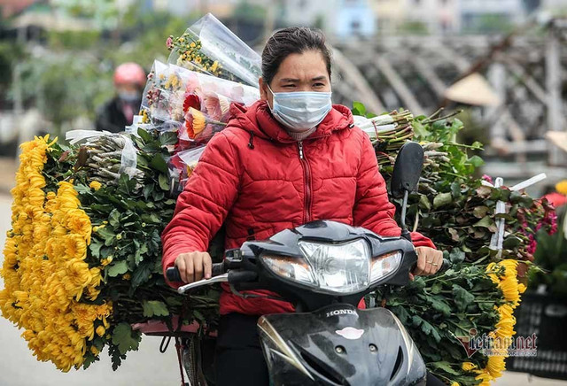 Làng hoa Hà Nội đang ngồi trên đống lửa vì dịch COVID-19 - Hình 10 Lang hoa Ha Noi dang ngoi tren dong lua vi dich COVID-19-Hinh-10