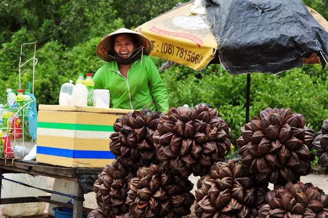 Quả bình dân ở Việt Nam nhưng ở nước này lại là thực vật rất quý - Hình 3 Qua binh dan o Viet Nam nhung o nuoc nay lai la thuc vat rat quy-Hinh-3