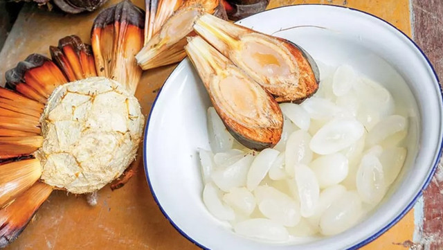 Quả bình dân ở Việt Nam nhưng ở nước này lại là thực vật rất quý - Hình 2 Qua binh dan o Viet Nam nhung o nuoc nay lai la thuc vat rat quy-Hinh-2