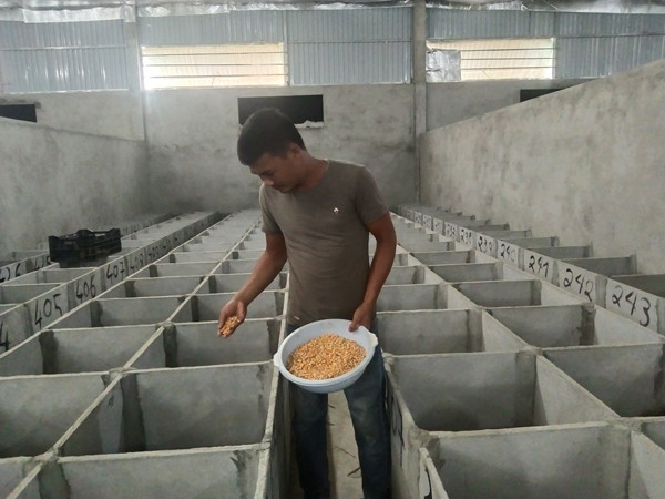 Nuôi con vật nhàn hạ bán nửa triệu đồng/kg - Hình 3 Nuoi con vat nhan ha ban nua trieu dong/kg-Hinh-3