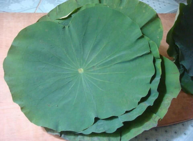 Lá sen bỏ đầy đầm nay được phơi làm trà, giá 90 ngàn đồng/kg - Hình 2 La sen bo day dam nay duoc phoi lam tra, gia 90 ngan dong/kg-Hinh-2
