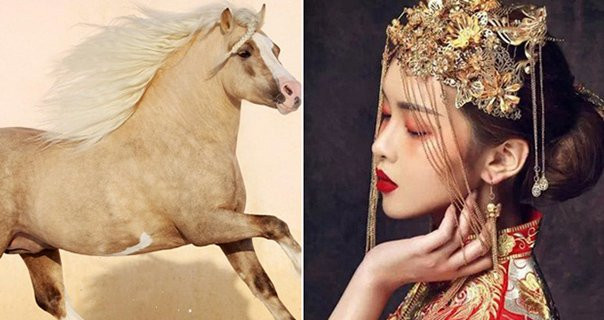 Cuối tháng 5, 3 con giáp hỷ tín vây quanh, sự nghiệp thăng tiến Cuoi thang 5, 3 con giap hy tin vay quanh, su nghiep thang tien