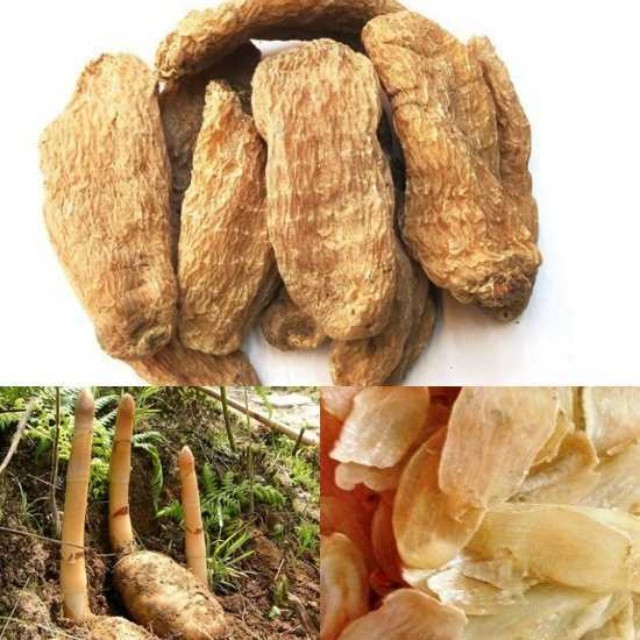Vị thuốc cổ xưa cứ đào đất là thấy, ở Việt Nam bán gần nửa triệu/kg - Hình 3 Vi thuoc co xua cu dao dat la thay, o Viet Nam ban gan nua trieu/kg-Hinh-3
