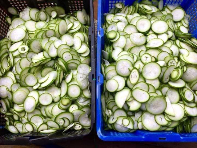 Bí xanh rớt giá kỷ lục, 1kg không mua nổi ổ bánh mỳ kẹp - Hình 4 Bi xanh rot gia ky luc, 1kg khong mua noi o banh my kep-Hinh-4