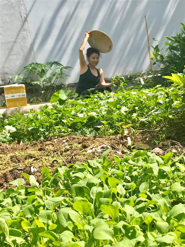 Bố mẹ Hồ Ngọc Hà làm nông dân dù giàu nứt đố đổ vách - Hình 6 Bo me Ho Ngoc Ha lam nong dan du giau nut do do vach-Hinh-6