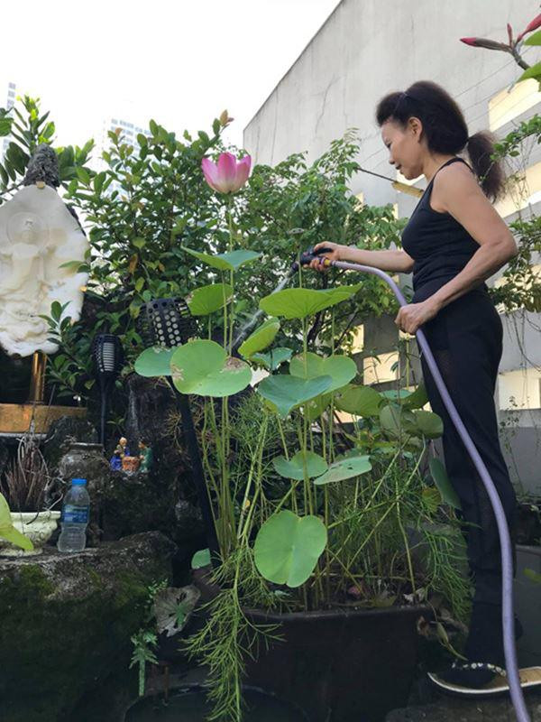 Bố mẹ Hồ Ngọc Hà làm nông dân dù giàu nứt đố đổ vách - Hình 8 Bo me Ho Ngoc Ha lam nong dan du giau nut do do vach-Hinh-8