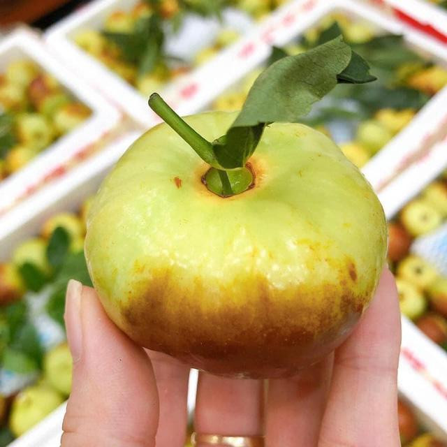 Phiên bản tươi của táo tàu gây sốt thị trường - Hình 4 Phien ban tuoi cua tao tau gay sot thi truong-Hinh-4