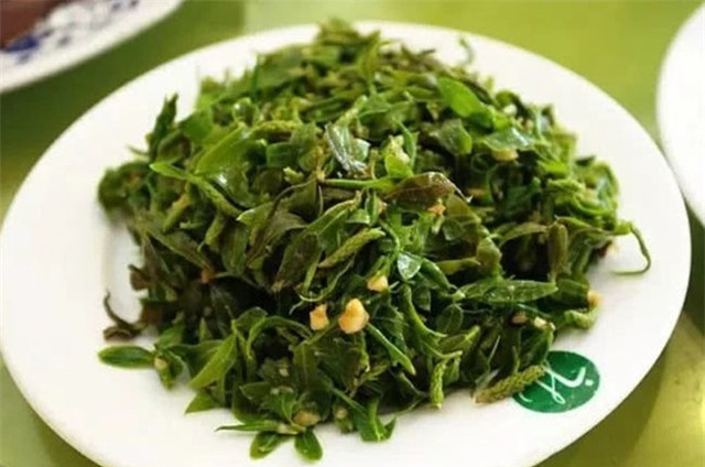 Loài cây không ai nghĩ có thể ăn được, người Trung Quốc hái trụi công viên - Hình 8 Loai cay khong ai nghi co the an duoc, nguoi Trung Quoc hai trui cong vien-Hinh-8