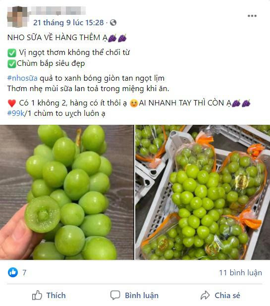Nho sữa Trung Quốc đang vào mùa, giá nhập về rẻ thu hút người mua - Hình 4 Nho sua Trung Quoc dang vao mua, gia nhap ve re thu hut nguoi mua-Hinh-4
