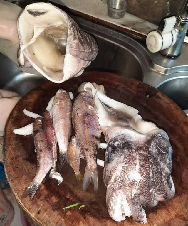 Mua con mực về rạch bụng bất ngờ thấy 11 thứ khác bên trong - Hình 4 Mua con muc ve rach bung bat ngo thay 11 thu khac ben trong-Hinh-4