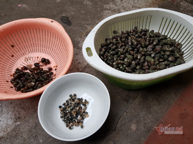 Một nhà đi chợ hộ ba hàng xóm, đến bữa thi món ngon qua mạng - Hình 3 Mot nha di cho ho ba hang xom, den bua thi mon ngon qua mang-Hinh-3