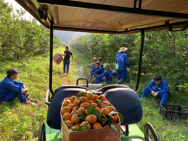 Chàng trai 8X phù phép vùng đất hoang thành nông trại - Hình 4 Chang trai 8X phu phep vung dat hoang thanh nong trai-Hinh-4