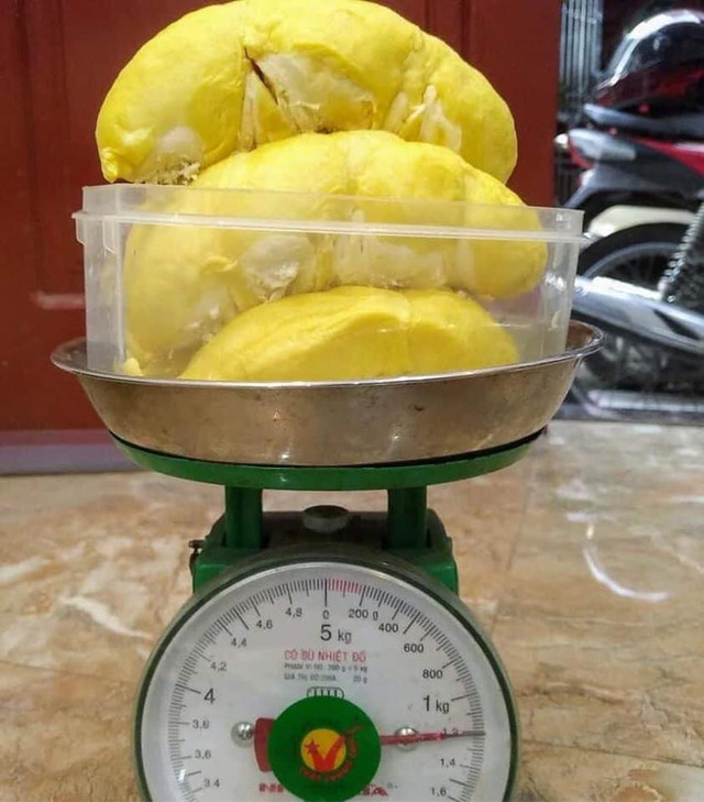 Chỉ cần nhìn đặc điểm này, bạn sẽ chọn được quả sầu riêng ngon - Hình 4 Chi can nhin dac diem nay, ban se chon duoc qua sau rieng ngon-Hinh-4