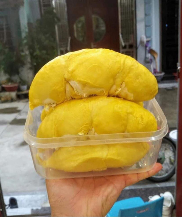 Chỉ cần nhìn đặc điểm này, bạn sẽ chọn được quả sầu riêng ngon - Hình 2 Chi can nhin dac diem nay, ban se chon duoc qua sau rieng ngon-Hinh-2